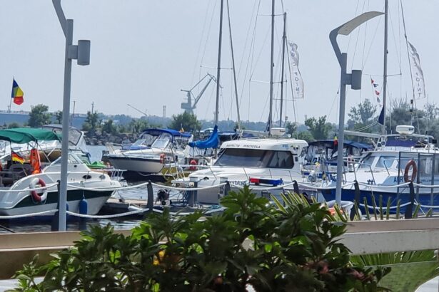 document doua terenuri trec din domeniul public in cel privat la mangalia firma tonomat star vizata in dosarul de coruptie al primarului suspendat radu cristian principalul beneficiar 69278eb1d6116