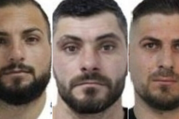 doi dintre ucigasii omului de afaceri sibian adrian kreiner condamnati pe viata al treilea primeste 30 de ani de inchisoare 69134143a55ee