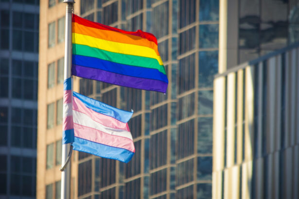 drepturile lgbtq pe agenda comisiei europene o initiativa civica cere interzicerea practicilor de conversie in ue 691cbb06e8ece