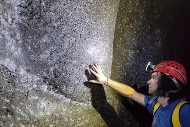 exclusiv ceva extraterestru cea mai mare panza de paianjen din lume descoperita de un cercetator roman in europa cum explica el fenomenul 69144fdb2ad78