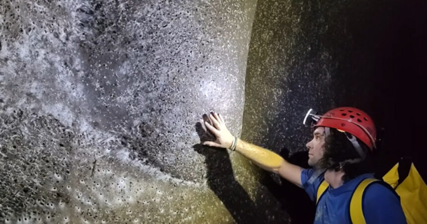 exclusiv ceva extraterestru cea mai mare panza de paianjen din lume descoperita de un cercetator roman in europa cum explica el fenomenul 69144fdb2ad78