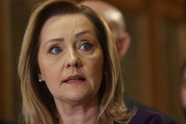 exclusiv elena lasconi il ataca pe nicusor dan despre care spune ca nu i inspira incredere este un om rau razbunator si mincinos 692ca21065ce9