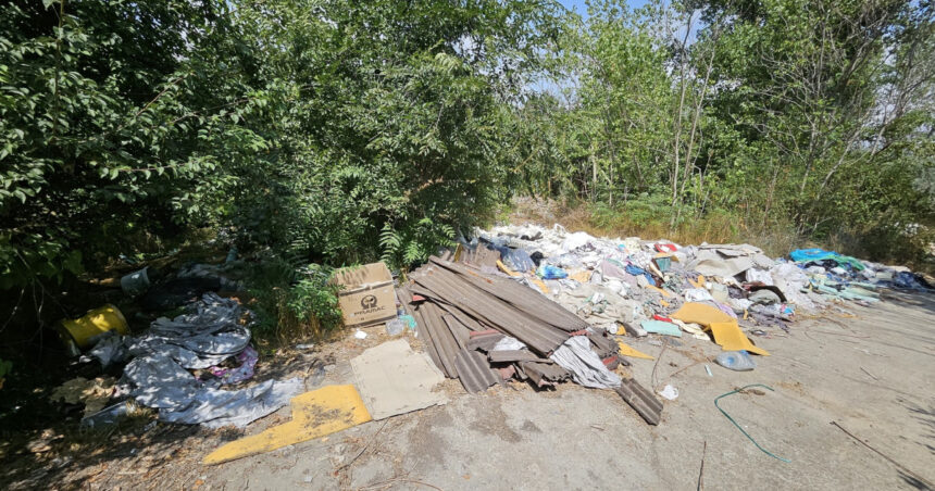 exclusiv ministra mediului avem nevoie de o lege pentru valorificarea deseurilor din constructii in alte state sunt vazute ca resurse 692822381ca47