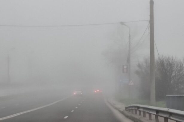 foto atentie soferi ceata s o tai cu cutitul pe drumurile din constanta iata cat tine avertizarea 692942d2e7864