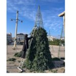 foto au inceput pregatirile pentru targul de craciun din constanta in piata ovidiu se monteaza primii brazi 6916d8502953d