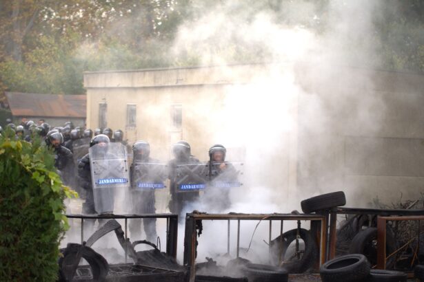 foto constanta exercitiul interinstitutional zimbrul s a incheiat cu succes 69119ce5d33b3