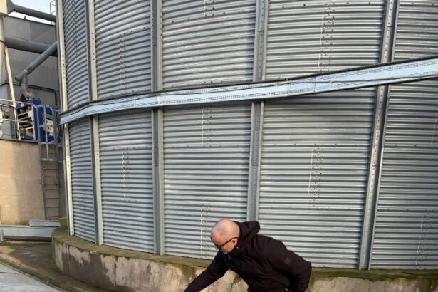 foto inspectorii dsvsa constanta verifica graul din silozuri pentru reziduuri de pesticide 691c531abf29f