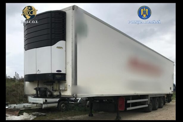 foto presupus grup infractional organizat destructurat de politistii bcco constanta tone de tutun brut exportate in israel 691b134f18060