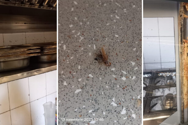 foto video barissimo cocktail bar si restaurantul popina din constanta inchise temporar de protectia consumatorilor ce nereguli crase au fost constatate 6915e9a1d285e