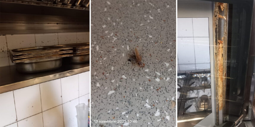 foto video barissimo cocktail bar si restaurantul popina din constanta inchise temporar de protectia consumatorilor ce nereguli crase au fost constatate 6915e9a1d285e