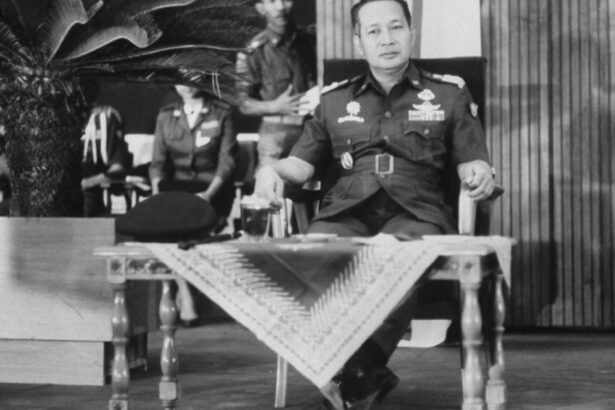 furie in indonezia dupa ce fostul dictator suharto acuzat de coruptie si crime in masa a fost numit erou national 6911a24d22b9b