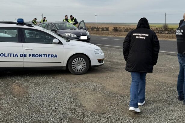 garda de mediu constanta ample controale pe poluarea industriala si ariile protejate s au dat amenzi de peste 155 milioane de euro 6911a40829f54