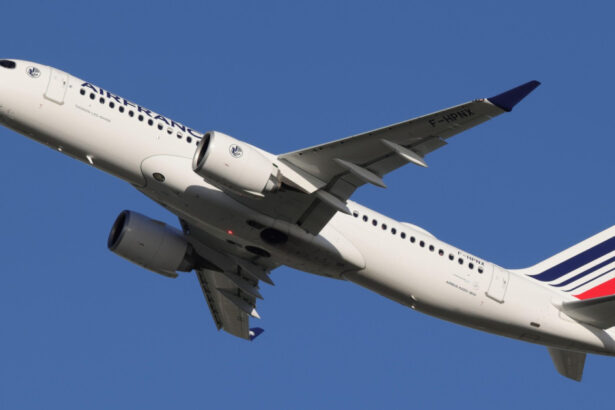 gestul aparent banal care te poate costa 20 000 de euro in avion companiile aeriene franceze introduc cele mai dure sanctiuni 692c46db6cbb2