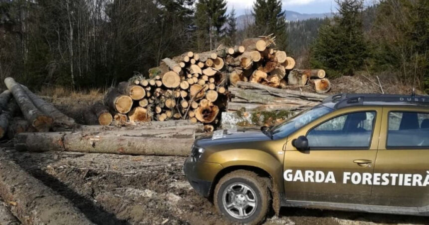 guvernul a aprobat reorganizarea garzii forestiere creste numarul posturilor pentru angajatii din teren 6916074d37eb9