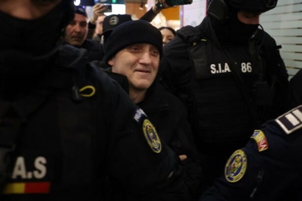 horatiu potra fiul si nepotul sau arestati preventiv pentru 30 de zile 6920b4b05a9f6