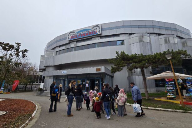 live foto video complexul muzeal de stiinte ale naturii constanta a pregatit bucurii pentru copii si adulti de ziua dobrogei spctacole cu delfini activitati educative si recreative ii asteapta pe v 6916f0f648960