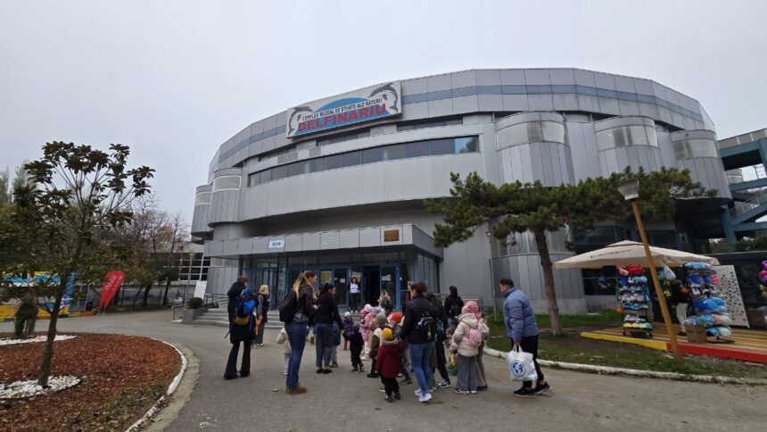 live foto video complexul muzeal de stiinte ale naturii constanta a pregatit bucurii pentru copii si adulti de ziua dobrogei spctacole cu delfini activitati educative si recreative ii asteapta pe v 6916f0f648960