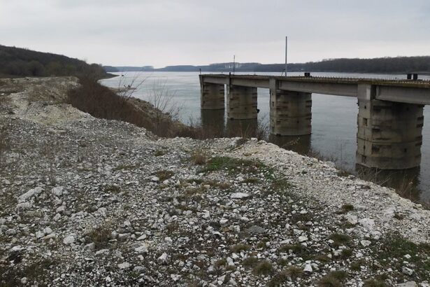 lovitura grea pentru comuna lipnita trebuie sa returneze banii platiti de cjc pentru portul achizitionat ilegal in mandatul lui constantinescu 691691bf62ac8