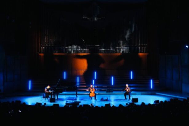 lumini si umbre marius manole si andrei irimia aduc un spectacol interdisciplinar pe scena cazinoului din constanta 691342bd7c6b5