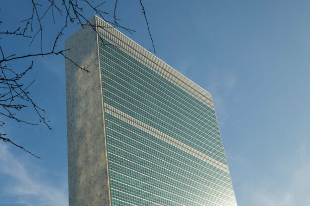 mae romania va avea un judecator la tribunalul onu pentru dispute adina elvira ghita preia functia in 2026 691cf6b07cb43