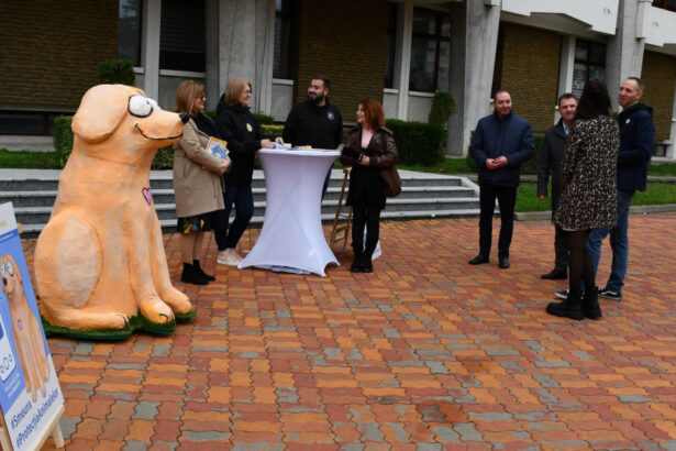 mascota bobita amplasata in centrul pitestiului pentru a i determina pe oameni sa si sterilizeze animalele starneste controverse 691383f318a29