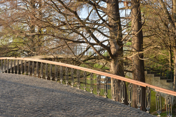 meteorologii anunta vreme mai calda decat de obicei pana la jumatatea lunii decembrie estimari pentru urmatoarele 4 saptamani 692550333169d