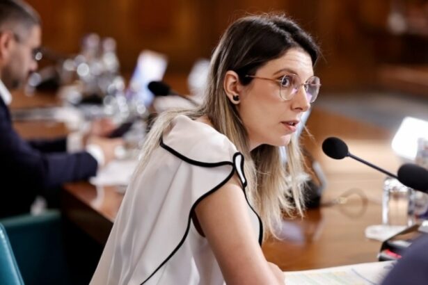 ministrul mediului anunta actiuni in instanta pentru recuperarea a peste 1 000 de imobile din zona costiera 692875b479687