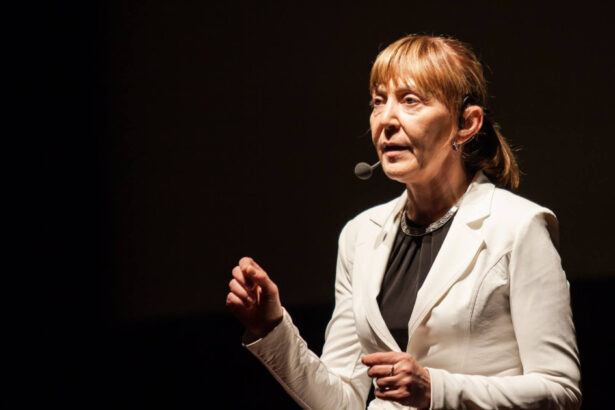 monica macovei fost ministru al justitiei despre pensiile magistratilor exista demisia daca nu iti mai convin conditiile de munca 691375e06ae4c