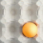 motivul pentru care in unele magazine se gasesc tot mai putine oua fermierii le exporta pentru ca primesc bani mai multi 6915a4ec7a337