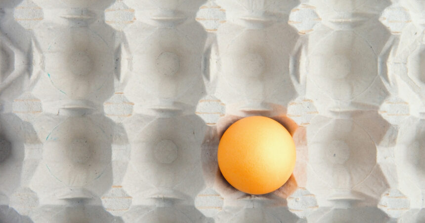 motivul pentru care in unele magazine se gasesc tot mai putine oua fermierii le exporta pentru ca primesc bani mai multi 6915a4ec7a337