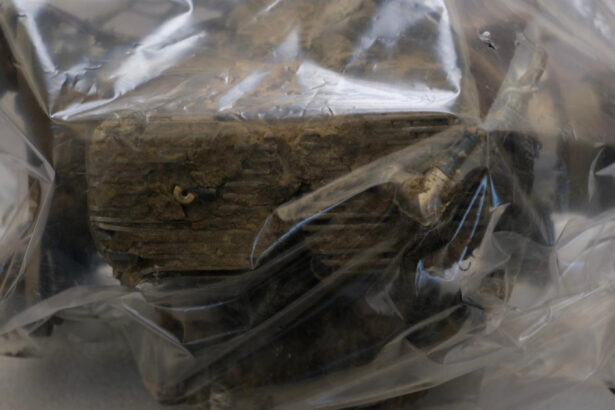 news alert ambasadorul rusiei la bucuresti convocat la sediul mae dupa ce o drona a cazut in zona grindu o violare a suveranitatii romaniei 691766debfe29