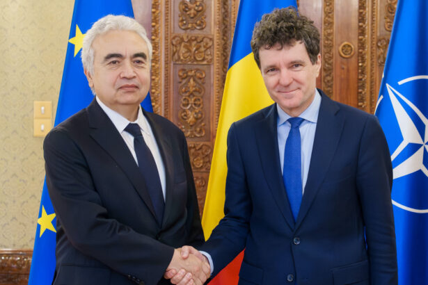 nicusor dan aderarea la ocde este o conditie pentru ca romania sa fie in agentia internationala de energie 691cb3e599b28