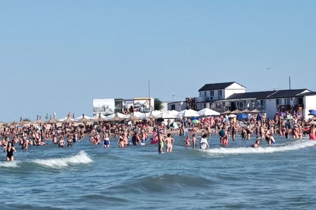 nicusor dan ataca la curtea constitutionala legea plajelor iata ce spune presedintele despre cota de 20 ce ar trebui sa le revina autoritatilor locale 691438d56d4aa