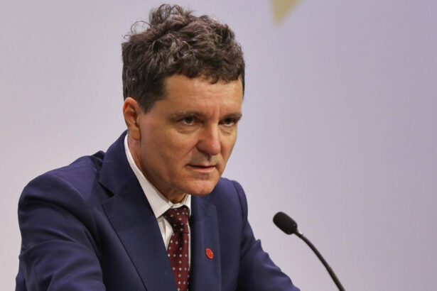 nicusor dan serviciile de informatii vor fi implicate in lupta anticoruptie dar nu in etapa de cercetare am precizat expres 69146e5c51cd1