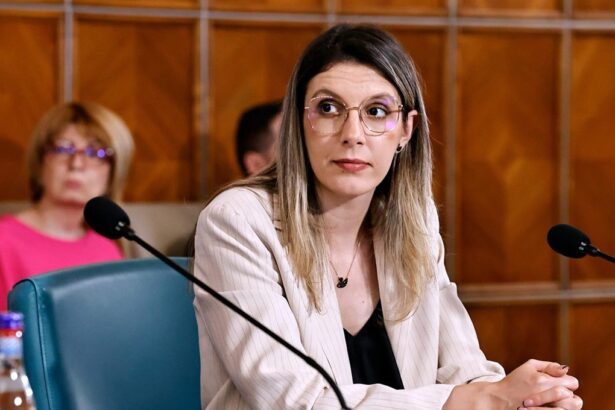 noi precizari despre programul rabla diana buzoianu nu putem garanta o noua editie anul viitor 69275d9d918b1