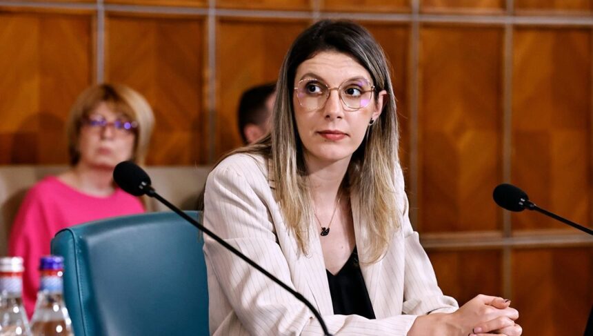 noi precizari despre programul rabla diana buzoianu nu putem garanta o noua editie anul viitor 69275d9d918b1