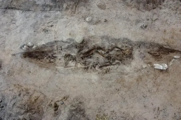 o femeie din epoca vikingilor ingropata alaturi de cainele ei intr un mormant barca 691bd9f4846b6