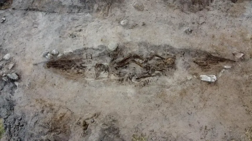o femeie din epoca vikingilor ingropata alaturi de cainele ei intr un mormant barca 691bd9f4846b6