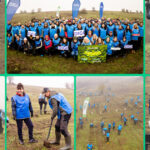 oameniidigi au plantat 5 200 de puieti la cea de a doua editie padurea digi fiecare copac o schimbare 691b312e1b12a