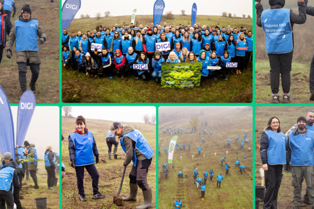 oameniidigi au plantat 5 200 de puieti la cea de a doua editie padurea digi fiecare copac o schimbare 691b312e1b12a