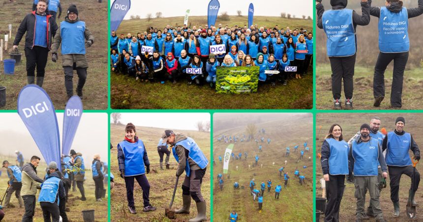 oameniidigi au plantat 5 200 de puieti la cea de a doua editie padurea digi fiecare copac o schimbare 691b312e1b12a