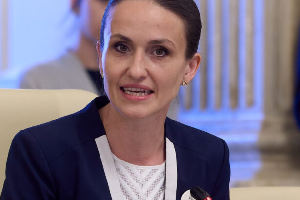 oana toiu despre planul de pace pentru ucraina stabilitatea regiunii noastre depinde de asta 69274a7035a41