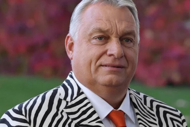 orban arata cu degetul catre acuzatiile de coruptie de la kiev ucraina riposteaza cu o mema virala costum de zebra 69164a1876476