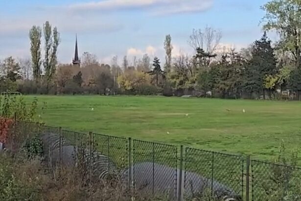 proiect pentru reabilitarea pistei de atletism si terenului mare de la palatul copiilor constanta 691576a0111a7