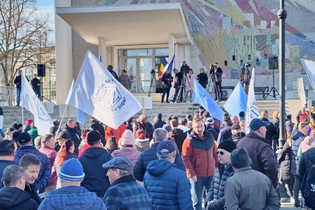 rasturnare de situatie in procesul pentru recapatarea dreptului de administrare al damen shipyards mangalia sa iata ultima decizie 692a7129a83c3