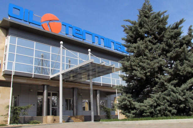 reactia oil terminal dupa perchezitiile din port punct de vedere oficial 69283061c81c9