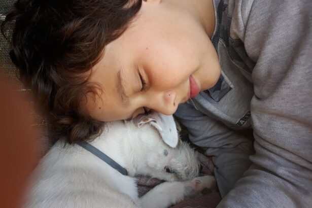 reguli noi pentru protectia animalelor de companie microciparea cainilor si pisicilor devine obligatorie 6927256ae1509