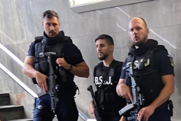 reorganizare radicala a jandarmeriei romane peste 3 000 de agenti vor fi scosi in strada 691c46eaca967