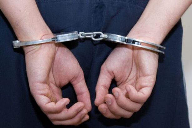 romania il judeca germania il vrea recidivistul ruxanda din medgidia din nou in atentia justitiei ultraj droguri si mandat european 691667a3b5784