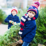 romsilva scoate la vanzare 16 000 de pomi de craciun care sunt preturile pentru achizitia directa de la ocoalele silvice 69282f2ae99d3